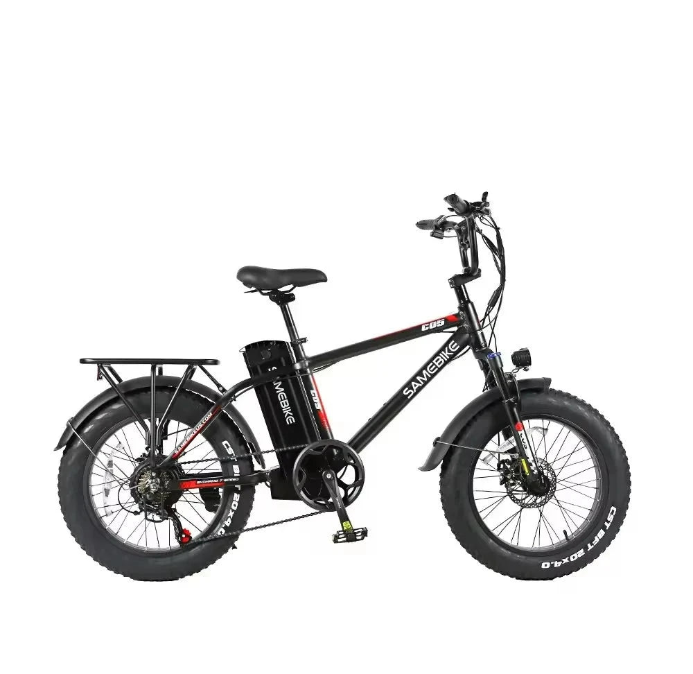 2024 NEW Modern 750w power removable lithium battery Germany fat tire electric bicycle ACOM Electronics